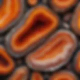 Close-up view of rough agate showcasing vibrant color patterns