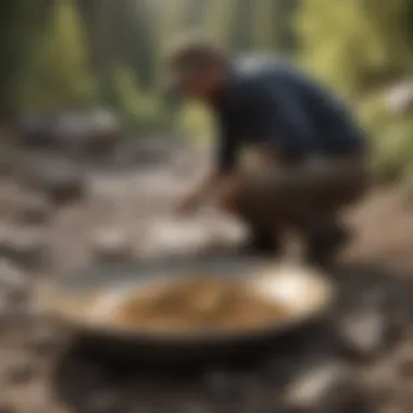 A scenic location ideal for gold panning in nature