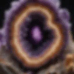 Close-up view of a natural amethyst geode showcasing its intricate crystal formations