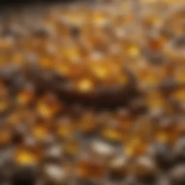 Varieties of Citrine Stones A collection of citrine stones displaying their warm yellow to golden shades