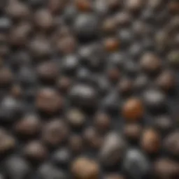 A stunning collection of various meteorite specimens displayed on a velvet background.