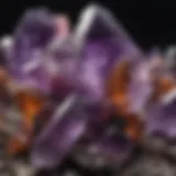 A stunning display of various amethyst crystals showcasing their unique colors and cuts