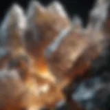 A close-up view of different crystal structures showcasing their unique formations.