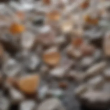 Various quartz specimens displayed on a surface, highlighting their diversity.